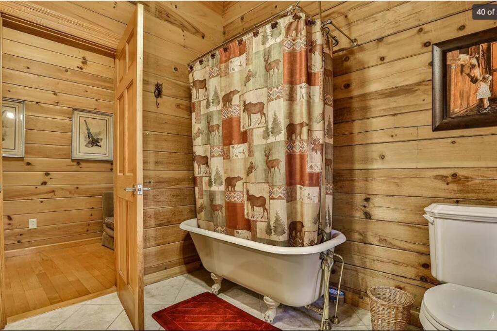 Blue Ridge Bliss- Spacious Cabin, Pets, Hot Tub! Esterno foto