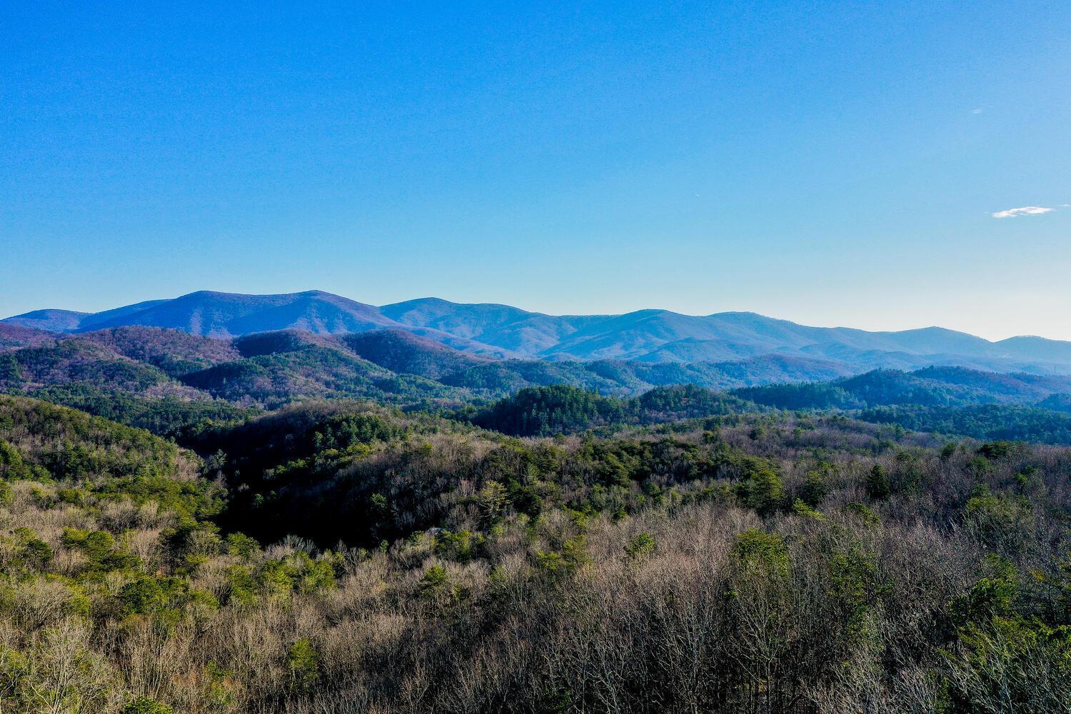 Blue Ridge Bliss- Spacious Cabin, Pets, Hot Tub! Esterno foto